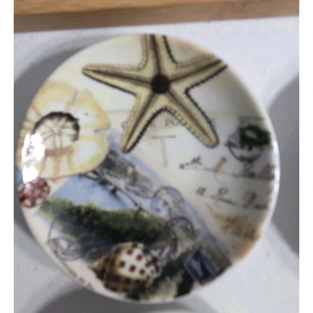 Pottery Barn Natural Curiosities Set of 4 Dipping Bowls Tabletop Nautical Theme